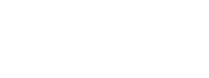 Developry Logo Light